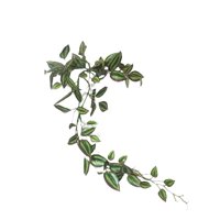 Corel - Hiedra Artificial Zebrina 70Cm