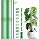 thumbnail image 1 of Estacas para Plantas SupKing de Fibra de Vidrio, 10 Unidades, 1 of 3