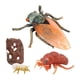 thumbnail image 5 of Ciclo De Vida De Animales Realistas Modelo Ciclo De Crecimiento De Juguete Juguetes Para Ni?os Cigarra, 5 of 5