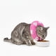 thumbnail image 1 of Collar Isabelino Suave Ajustables Talla S Mod 9, 1 of 3
