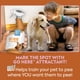 thumbnail image 3 of ¡Spray atrayente para perros OUT! Entrena para ir al baño con 960 ml, 3 of 7