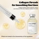 thumbnail image 4 of Ampolla Navaro Deep Collagen Silk Peptide 40 Ml, 4 of 8