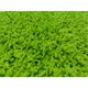 thumbnail image 3 of Alfombra Shaggy Verde 133 x 190 cm Polipropileno, 3 of 3