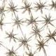 thumbnail image 4 of Star Light Hi-Line Gift Ltd. Copo de Nieve de 60 cm con 432 LED, 4 of 5