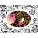 thumbnail image 3 of Té Verde Earl Green Sensorial 50 gr, 3 of 4