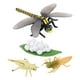 thumbnail image 3 of Modelo de Insecto de Ciclo de Vida de Libélula, Juguete Educativo para Niños, 3 of 3