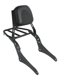 thumbnail image 2 of Sissy Bar De Motocicleta Desmontable Para Honda Rebel Cm300 Cm500 Accesorios, 2 of 5