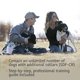 thumbnail image 5 of Sistema de vallas enterradas SportDog recargable de 100 acres, 5 of 9