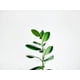 thumbnail image 1 of prueba_variantes_2_Atributos_3, 1 of 2