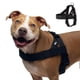 thumbnail image 1 of Arnés para perro Dog Friendly Co. Extra Grande Negro, 1 of 7