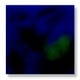 thumbnail image 1 of Saxofón True Flow Colorburst de Glaze COLORAMICS LLC, 473 ml, 1 of 1
