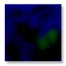 Saxofón True Flow Colorburst De Glaze Coloramics Llc, 473 Ml