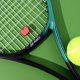 thumbnail image 5 of Amortiguadores de Vibración para Raqueta de Tenis Racquet Inc. (Pack de 2) – Diseño Manzana, 5 of 9