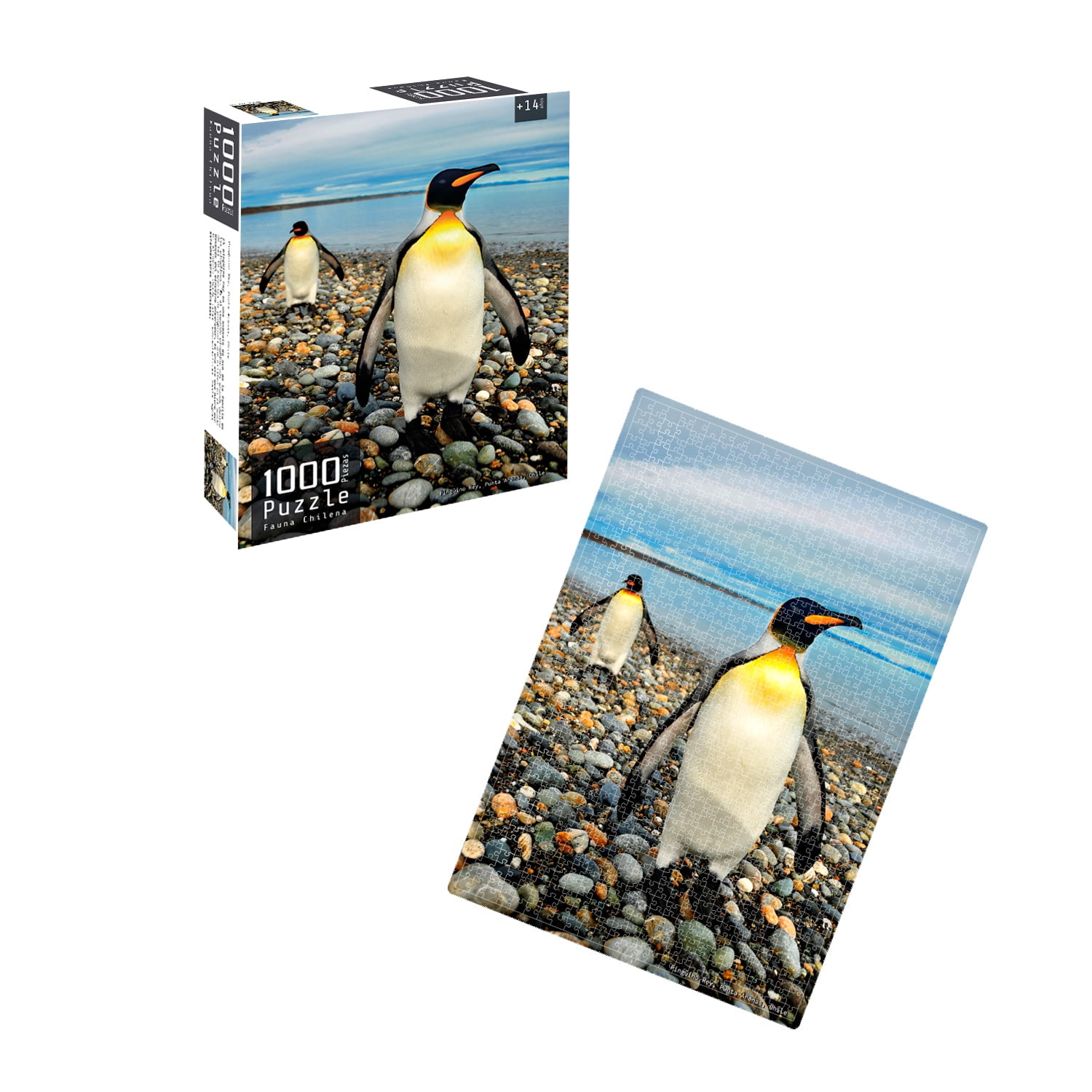 Nobel Gift - Puzzle 1000 Piezas Fauna Chilena Pingüino