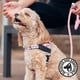 thumbnail image 5 of Arnés para Perro Dog Friendly Co XL Camuflaje Rosa, 5 of 8
