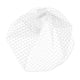 thumbnail image 2 of Birdcage Blanco Cabello Accesorios Para El Cabello De Gorras De Velo De Novia Velo De Novia, 2 of 2