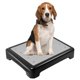 thumbnail image 1 of Tablero de entrenamiento para perros YEXEXINM 43 × 33 × 8 cm antideslizante, 1 of 7