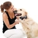 thumbnail image 4 of Collares para perros y gatos con pajaritas ajustables y desmontables, de caballero., 4 of 5