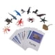 thumbnail image 4 of Juguete Educativo, Modelo De Organismo Marino, Tarjetas De Nombres Para Educación Montessori, 4 of 5