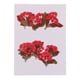 thumbnail image 1 of Flor seca natural real de 10 pedazos de la flor roja presionada para la fabricación de la joyería, 1 of 5