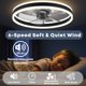 thumbnail image 5 of Ventilador de techo Fszdorj F105 de 60 cm con luz, control remoto y app, 5 of 7