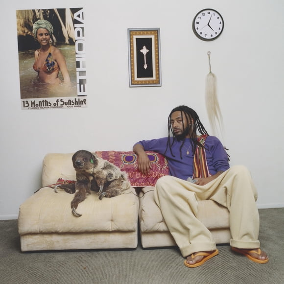 Vinilo Analógico 10K PROJECTS – 13 MONTHS OF SUNSHINE (輸入盤)