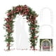 thumbnail image 1 of Metal Arco Jardín Plantas Globos Matrimonio Para Plantas - Altura ajustable, 1 of 6