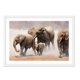 thumbnail image 1 of Cuadro Familia De Elefante con Marco Blanco 50x40 CM, 1 of 1