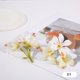 thumbnail image 1 of Xiao Hua 30 cabezas de flores artificiales amarillas de 8 cm (3,15 pulgadas), 3 cabezas de lirios bifurcadas, ideales para arreglos florales, ramos de novia y decoración de fiestas., 1 of 3