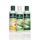thumbnail image 2 of Shampoo Natural Cabellos Teñidos Aloe Vera, 2 of 3