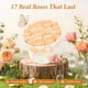 thumbnail image 3 of Preserved Roses Forever Flowers en lujosa caja de gamuza, 3 of 8