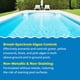 thumbnail image 2 of Algaecide In The Swim 60 Plus para piscinas de 3,78 litros, 2 of 9