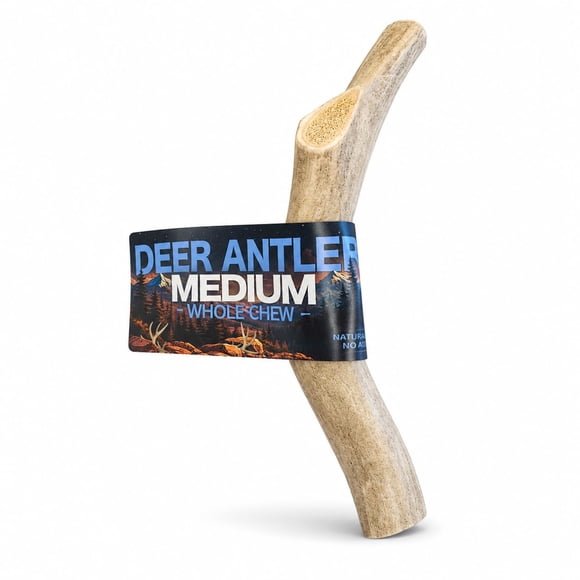 Mordedor de cuerno de ciervo natural para perros medianos – High Country Antlers