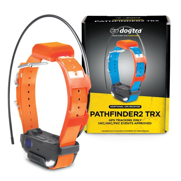 Collar para perros Dogtra Pathfinder 2 TRX con rastreador GPS – Naranja
