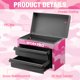 thumbnail image 5 of Caja de Herramientas Mini de Metal WORKPRO 27 cm × 15 cm × 20,6 cm 2 Cajones 2,6 kg, 5 of 7