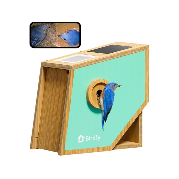 Casita para pájaros Birdfy con cámara inteligente 1080p, visión nocturna y panel solar