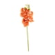 thumbnail image 1 of Flores De Orquídeas, Plantas De Tallo, Decoración Para El Hogar Y La Boda, Flor Artificial De Phalaenopsis Naranja, 1 of 3