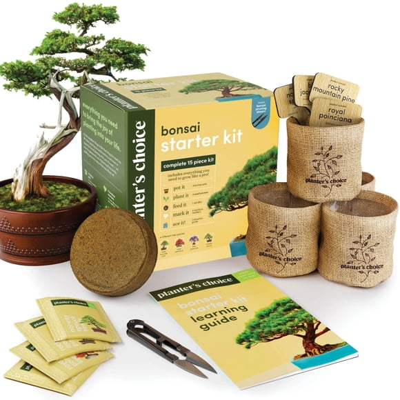 Kit de inicio para bonsáis Planters' Choice con 4 tipos de semillas