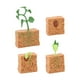 thumbnail image 4 of Ciclo De Vida De La Planta Verde Cultivada Montessori Para Niños Y Niñas En Edad Preescolar, 4 of 5