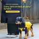 thumbnail image 3 of arnés de elevación de perros para perros pequeños cuerpo completo de soporte eslinga para las piernas traseras, mascotas de rehabilitación levanta chaleco correas ajustables para perros pequ, 3 of 3