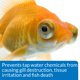 thumbnail image 5 of Pack de Cuidado para Peces Dorados API 32 ml, 5 of 6
