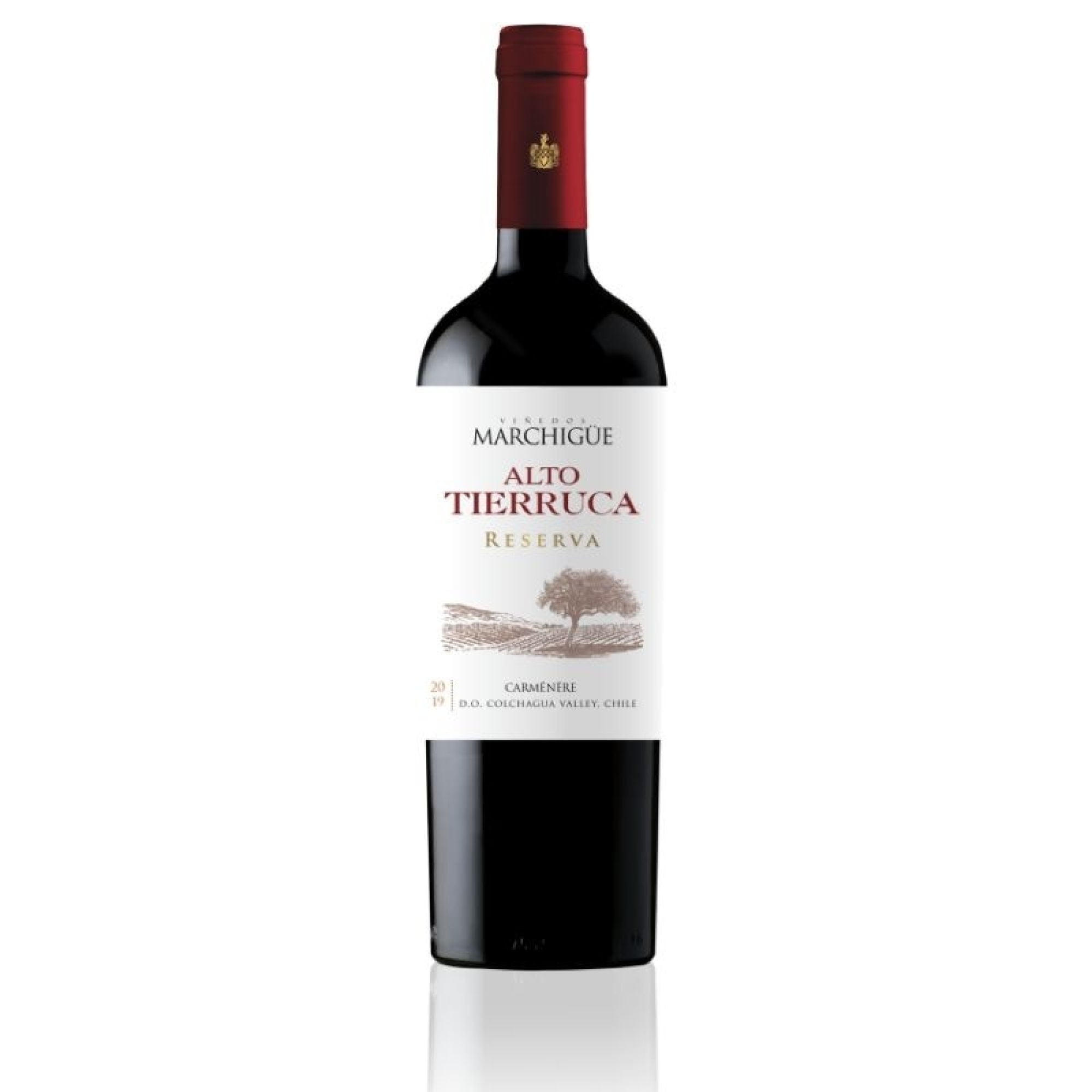 Vino Tinto Carmenere Botella 750 ml Alto Tierruca
