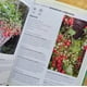 thumbnail image 2 of Curso Básico De... - Cultivo De Fruta Y Hortalizas, 2 of 7