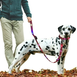 Crusec - Correa + Collar Con Luces Led Impermeable