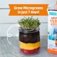 thumbnail image 4 of Kit de Terrario Back to the Roots Pequeño DIY, 4 of 8