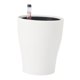 thumbnail image 1 of Solución Automática De Agua Para Macetas De Riego Automático Para Plantas Bonsai Redondas, 1 of 5