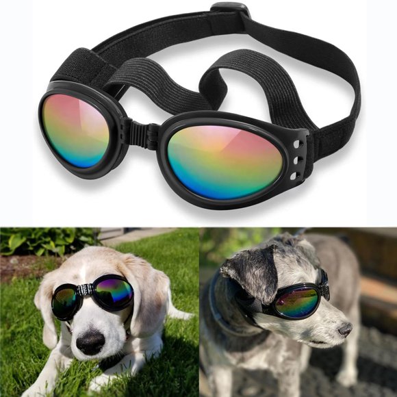 Gafas de sol para perros QUMY, protección contra viento, polvo y niebla