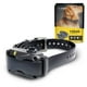 thumbnail image 1 of Cuello antiladridos Dogtra YS600 recargable e impermeable, 1 of 3