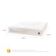 thumbnail image 3 of Colchón Cocopedic King, 3 of 10