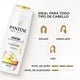 thumbnail image 4 of Shampoo Pantene Sin Sal Con Keratina Pro Vitamina B5, 300 ml, 4 of 5